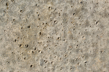 Asbestos slate texture concrete covered with lichen and moss