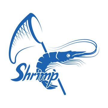 shrimp isolated on white background, hand drawn seafood, vector prawns shrimp, shrimp logo, vector artwork