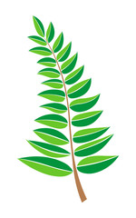 green vector a branch with leaves. design element. Hand drawn plant and tree branches with leaves. botanical illustration.