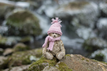 Teddy bear in warm clothes sits in the riverside