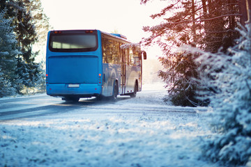 bus on winter road through coniferous forest