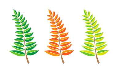 Set of vector branches. hand drawn tree branches with green, orange leaves isolated on white background. design element leaves decoration. logo icon