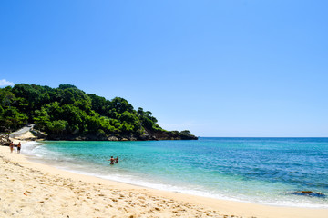 Fototapeta na wymiar Caribbean beach with turquoise ocean, some tropical plants and palms. blue sky, paradise island, cayo levantado