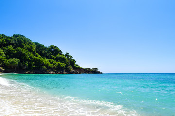 Fototapeta na wymiar Caribbean beach with turquoise ocean, some tropical plants and palms. blue sky, paradise island