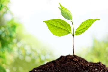 Grow.