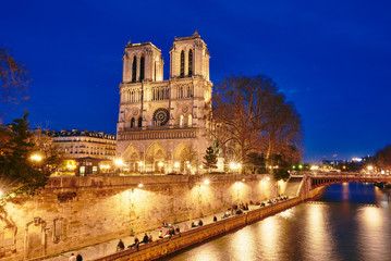 Fototapeta na wymiar View of the Seine and Notre-Dame de Paris at night