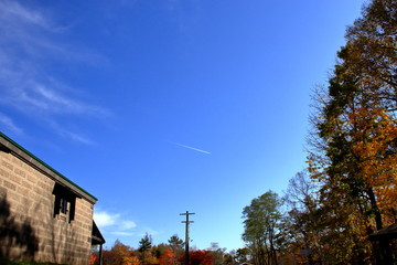 北海道、札幌の公園の秋の風景