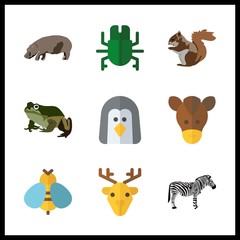 animal icons set. two, stallion, close-up and emperor graphic works