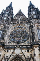 Fototapeta premium city