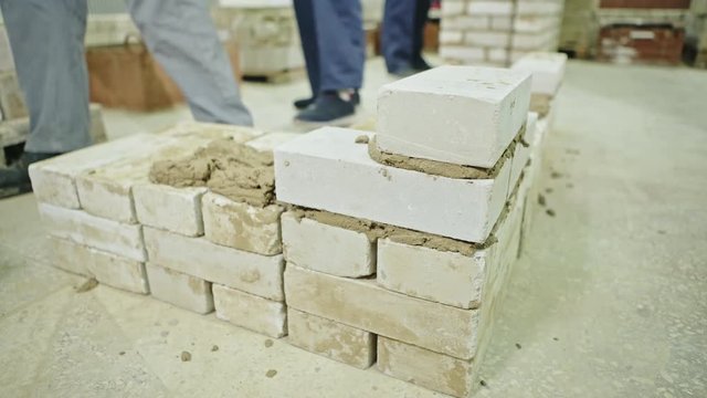 Crop building composing bricks with cement