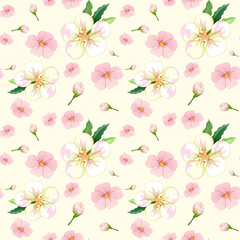 Cherry blossom seamless pattern