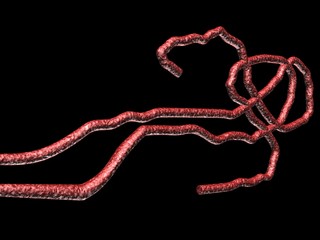 3d Illustration E.coli - Escherichia coli