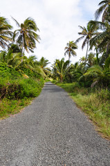 Fototapeta na wymiar Typical road on the island of Ouvea in New Caledonia. France.