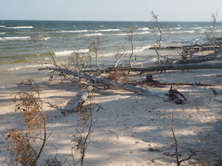 Naturk&uuml;ste am Kap Kolka in Lettland