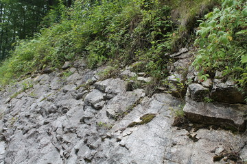 the base of the rock, covered with vegetation