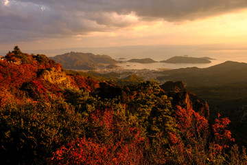 紅葉した夕方の山の風景, The Mountain and Leaves Turning into Red in Autumn