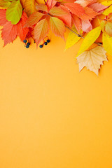 Bright Autumn leaves on orange background. Flat lay, top view, copy space