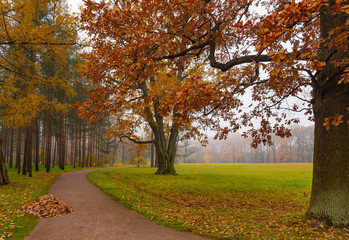 Autumn. Catherine Park. Pushkin, St. Petersburg, Russia
