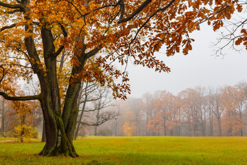 Autumn. Catherine Park. Pushkin, St. Petersburg, Russia