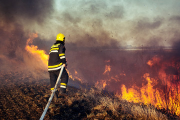 Obraz premium Firefighters battle a wildfire