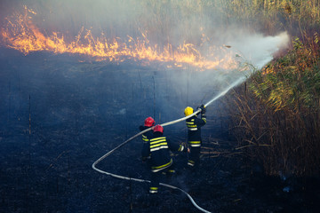 Fototapeta premium Firefighters battle a wildfire