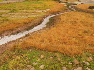 公園の水路と草紅葉