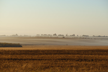 foggy morning summer landscape at sunrise