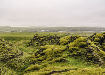 Beautiful scenery with volcanic lava field covered under sort carpet of green Icelandic moss in cloudy summer day. Eldgja, Highlands of Iceland
