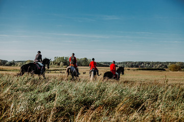 FOXHOUNDS - JAGD