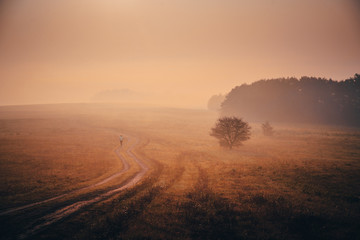 Trail runner in misty autumn morning