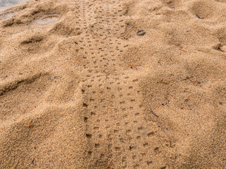 Mountain bike tire marks on sand