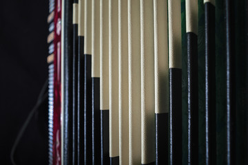 Obraz premium accordion close-up