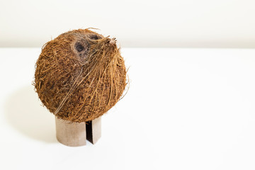 Coconut face portraiture