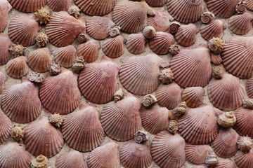 Motif décoratif du quartier de l'Île Penotte aux Sables d'Olonne