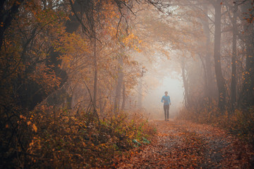 Pathway in autumn forest. Runner in misty morning nature