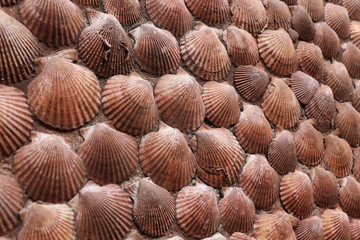 Motif décoratif du quartier de l'Île Penotte aux Sables d'Olonne