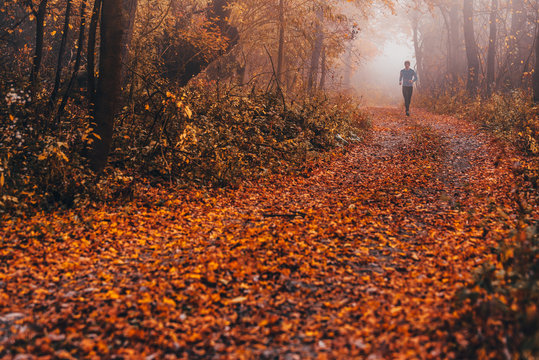 Trail runner run in misty autumn forest