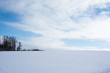 Fototapeta premium 冬の空と雪原
