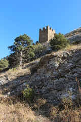 ruins of old castle