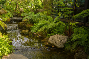 Japanese garden with stones, water and bushes