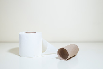 Toilet paper and empty roll