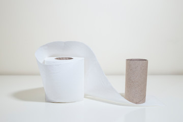 Fototapeta na wymiar Toilet paper and empty roll