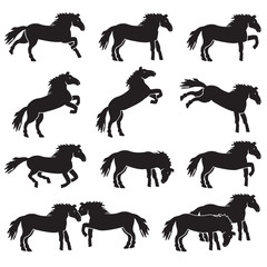 Horse different poses icon set. Vector.