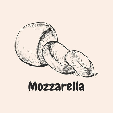 Mozzarella Hand Drawn Vector Illustration Mozzarella Hand Drawn Vector Illustration