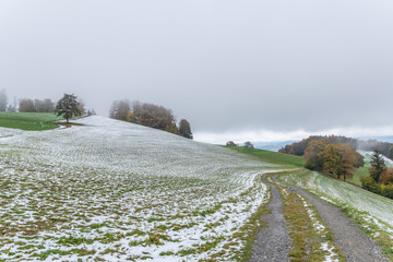 Leicht verschneite Landschaft im Hochnebel– der erste Schnee