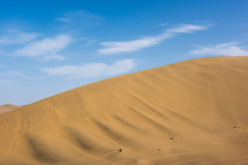 Fototapeta na wymiar Desert sand dunes with blue sky background. Beautiful curves of deserts