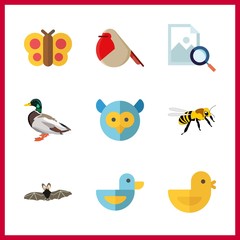 Fototapeta premium 9 wing icon. Vector illustration wing set. bat and chicken icons for wing works