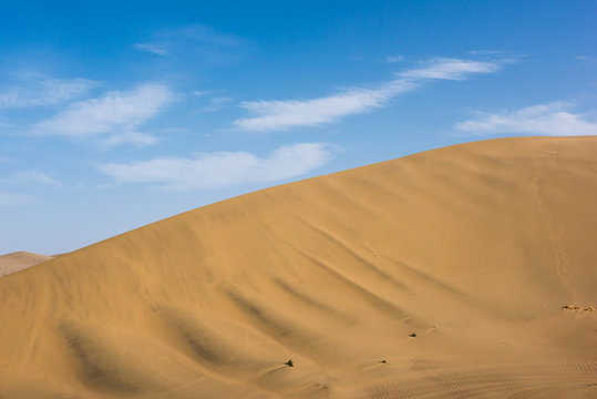 Desert sand dunes with blue sky background. Beautiful curves of deserts © ddukang