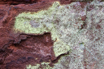 Close up of a type of moss or algae on weathered sand stone. Concept of cleaning rock surfaces outdoors