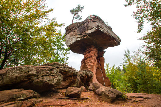 Sandstone rock formation formed like a table called devil&acute;s table (German: Teufelstisch) in Dahner Felsenland region in Germany. Famous tourist destination landmark